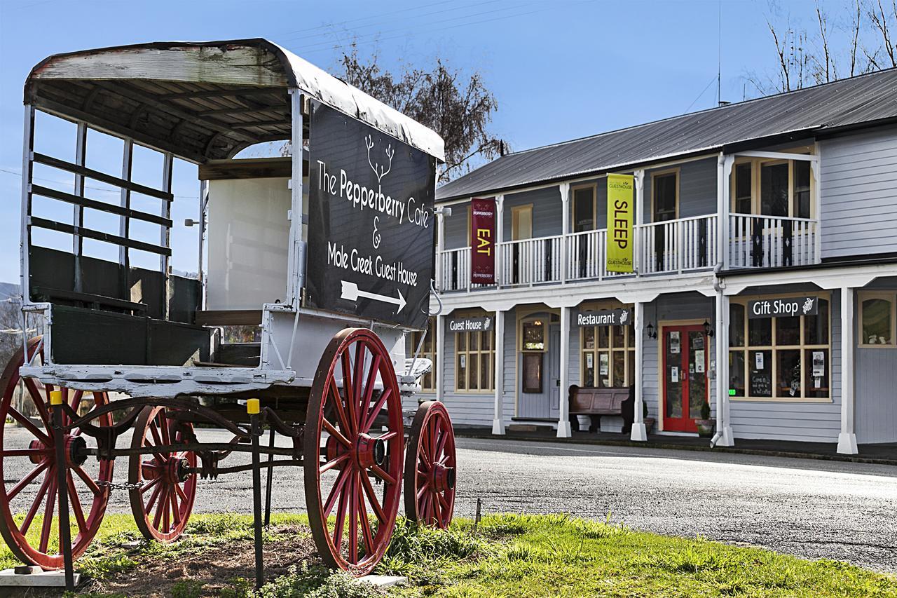 Mole Creek Guesthouse Exteriör bild