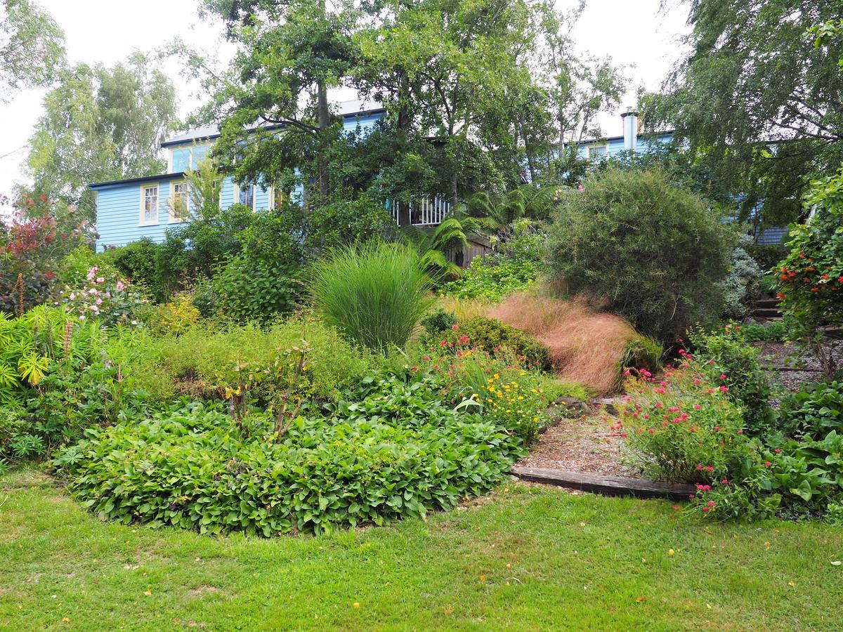 Mole Creek Guesthouse Exteriör bild