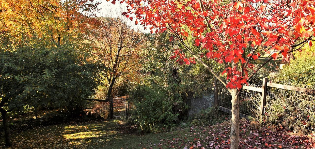 Mole Creek Guesthouse Exteriör bild