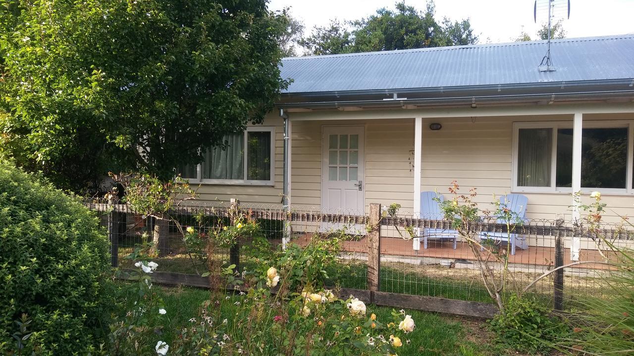 Mole Creek Guesthouse Rum bild